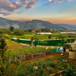 Gardens Mountains  Sunset
