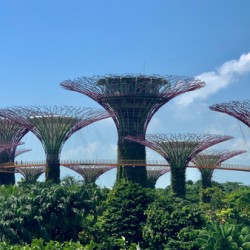 Gardens by the Bay Singapore