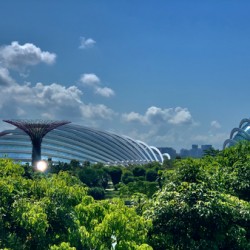 Gardens by the Bay Singapore 1
