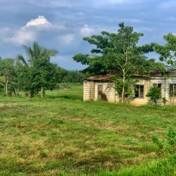 House on the Farm in the Philippines 2
