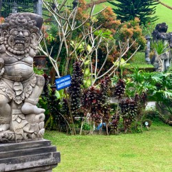 Indonesian Statue in the Garden