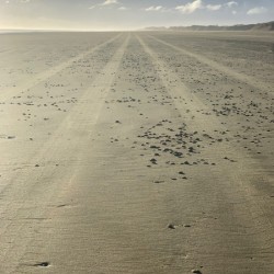 Infinite Sandy Beach