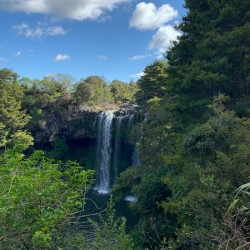Kerikeri Falls New Zealand