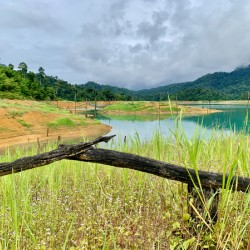 Khao Sok National Park 1