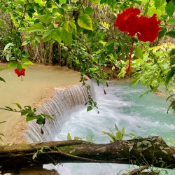 Kuang Si Waterfalls 3