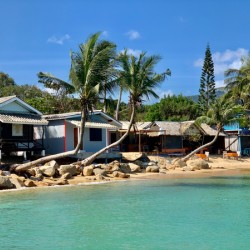 L Shaped Palm Trees Beach