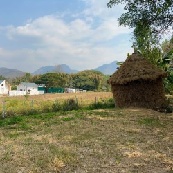 Last Straw Hut Standing
