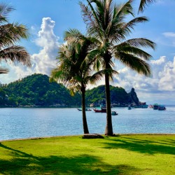 Lay Down on the Grass and Enjoy