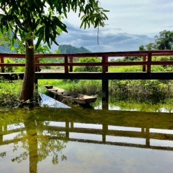 Little Bridge Reflections
