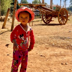 Little Girl on the Farm