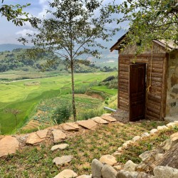 Little House by the Rice Fields