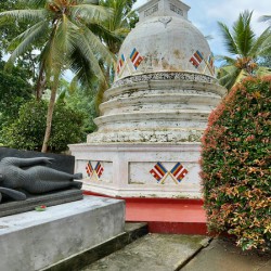 Little Sleeping Buddha