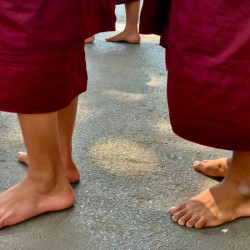 Monks Feet