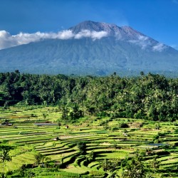 Mount Agung with Rice Fields Bali