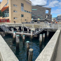 Museum of New Zealand Te Papa Tongarewa