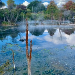 Mysterious Reflection