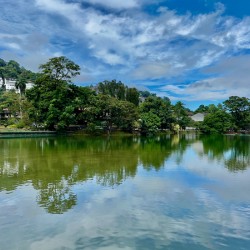 Natures Reflections 2