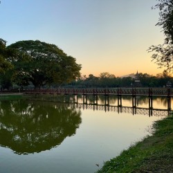 Nice Tree Reflection on the Lake