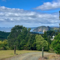 Nice View Down There