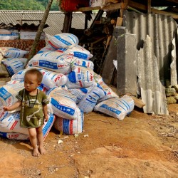 No One Will Touch These Bags