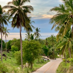 Ocean on the Horizon