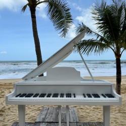 Piano on the Beach