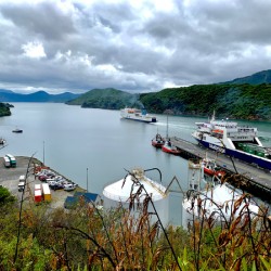 Pictons Ferry New Zealand