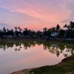 Purple Reflection on the Lake