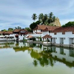 Reflections in Front of Sree Padmanabhaswamy Temple