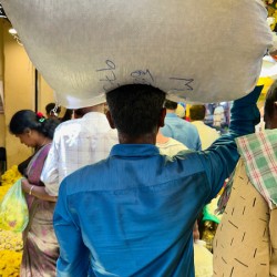 Rice Bag on the Head