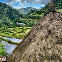 Rice Valley behind the Roof