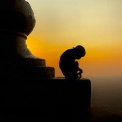 Meditative Monkey at Sunset