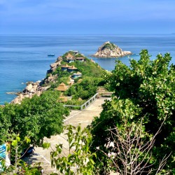 Sai Daeng Koh Tao 2