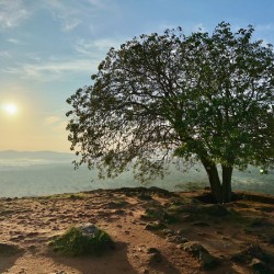 Sunrise on Top of Sigiriya Sri Lanka 12