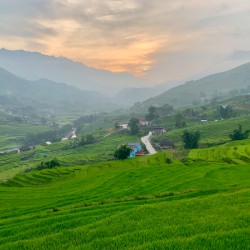 Sunset Over Sapa Rice Field