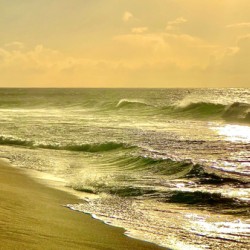 Surfer on the Beach at Sunset