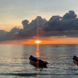 Sweet Orange Sunset 2