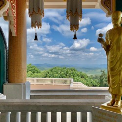 The stylish Wat Pa Phu Kon 5