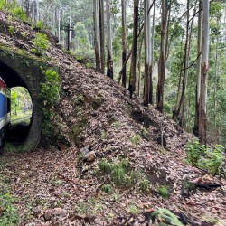 Train Through the Mini Tunnel
