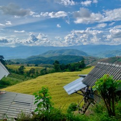 Village in the Rice Fields