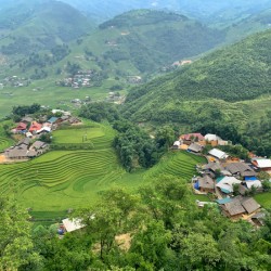 Villages in the Rice Fields