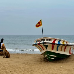 Waiting on the Beach