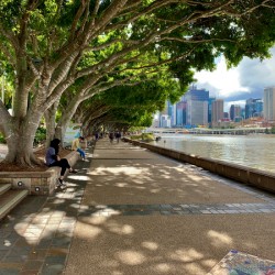 Walking Around Brisbane