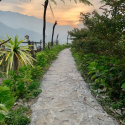 Walking to the Sunset