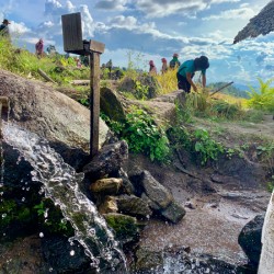Water for the Rice Field Workers