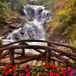 Waterfall and Red Flowers