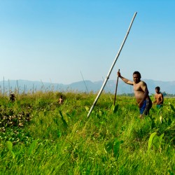 Working in the Field