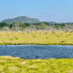 Yala National Park Sri Lanka