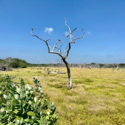 Yala National Park Sri Lanka 2