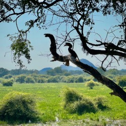 Yala National Park Sri Lanka 4